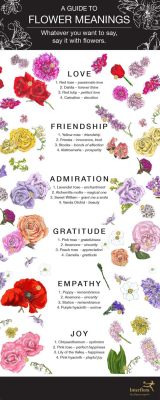 give you your flowers meaning, let's explore the language of petals