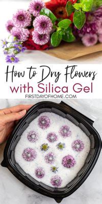 How Long to Dry Flowers in Silica: A Journey Through Time and Texture