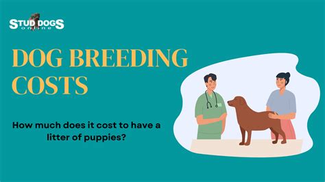 How Much Does Breeding Rights Cost: A Dive into the Economics of Genetic Legacy