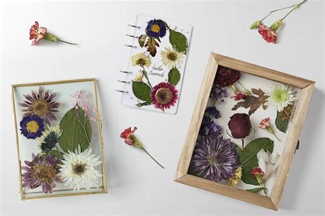 How to Preserve Flowers: A Symphony of Nature and Creativity