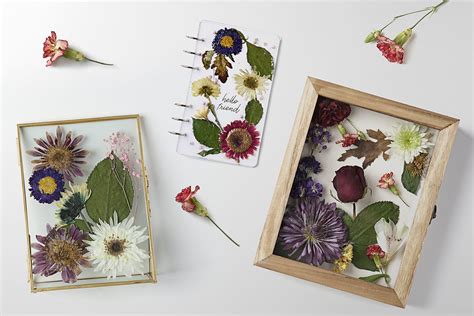 how.to.preserve flowers: A Symphony of Petals and Time