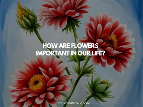 Why Are Flowers Important to Plants: And Why Do They Sometimes Feel Like Nature's Poets?